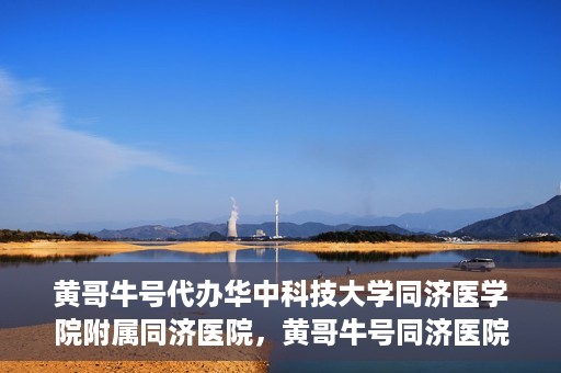 黄哥牛号代办华中科技大学同济医学院附属同济医院，黄哥牛号同济医院代办服务，专业助力就医无忧！