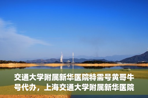 交通大学附属新华医院特需号黄哥牛号代办，上海交通大学附属新华医院特需号代办服务解析——黄哥牛号助您轻松就医