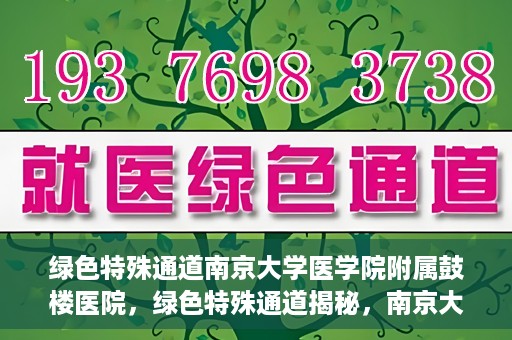 绿色特殊通道南京大学医学院附属鼓楼医院，绿色特殊通道揭秘，南京大学医学院附属鼓楼医院的探索与实践