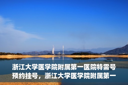浙江大学医学院附属第一医院特需号预约挂号，浙江大学医学院附属第一医院特需号预约挂号详解