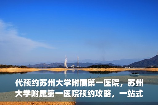 代预约苏州大学附属第一医院，苏州大学附属第一医院预约攻略，一站式解决您的就医难题