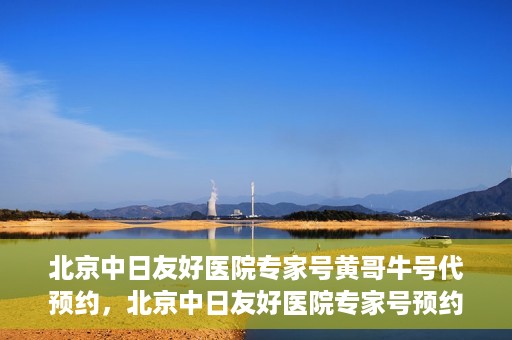 北京中日友好医院专家号黄哥牛号代预约，北京中日友好医院专家号预约服务解析，黄哥牛号代预约详解
