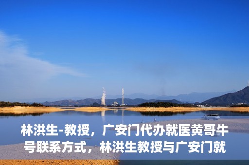 林洪生-教授，广安门代办就医黄哥牛号联系方式，林洪生教授与广安门就医黄哥，背后的故事与联系方式揭秘