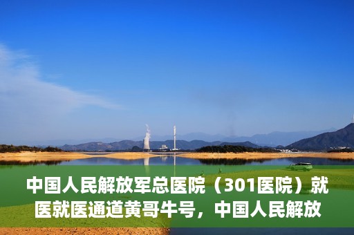 中国人民解放军总医院（301医院）就医就医通道黄哥牛号，中国人民解放军总医院（301医院）黄哥牛号就医通道详解