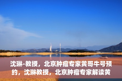 沈琳-教授，北京肿瘤专家黄哥牛号预约，沈琳教授，北京肿瘤专家解读黄哥牛号预约攻略