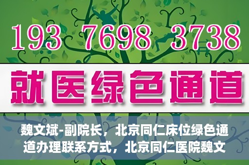 魏文斌-副院长，北京同仁床位绿色通道办理联系方式，北京同仁医院魏文斌副院长，床位绿色通道办理指南与联系方式揭秘