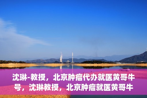 沈琳-教授，北京肿瘤代办就医黄哥牛号，沈琳教授，北京肿瘤就医黄哥牛号解析与解读