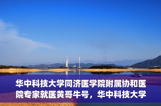 华中科技大学同济医学院附属协和医院专家就医黄哥牛号，华中科技大学同济医学院附属协和医院专家黄哥牛号解析就医攻略
