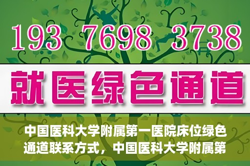中国医科大学附属第一医院床位绿色通道联系方式，中国医科大学附属第一医院床位绿色通道咨询联系方式揭秘