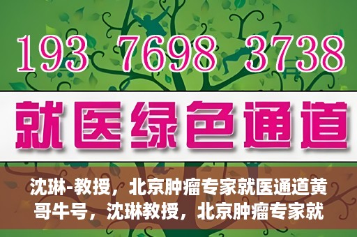 沈琳-教授，北京肿瘤专家就医通道黄哥牛号，沈琳教授，北京肿瘤专家就医通道揭秘——黄哥牛号领航健康之路