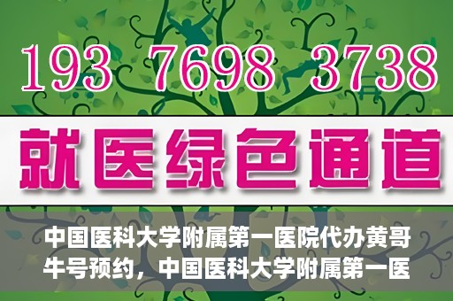 中国医科大学附属第一医院代办黄哥牛号预约，中国医科大学附属第一医院预约挂号代办服务解析——黄哥牛号预约揭秘