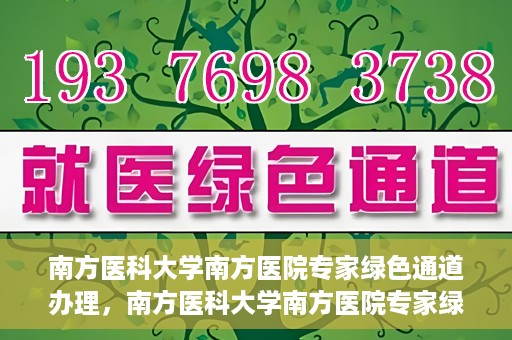 南方医科大学南方医院专家绿色通道办理，南方医科大学南方医院专家绿色通道办理详解