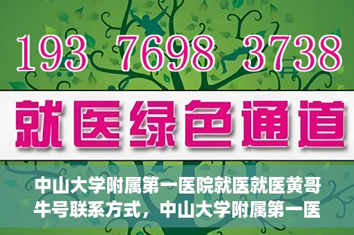 中山大学附属第一医院就医就医黄哥牛号联系方式，中山大学附属第一医院就医攻略，黄哥牛号联系方式揭秘