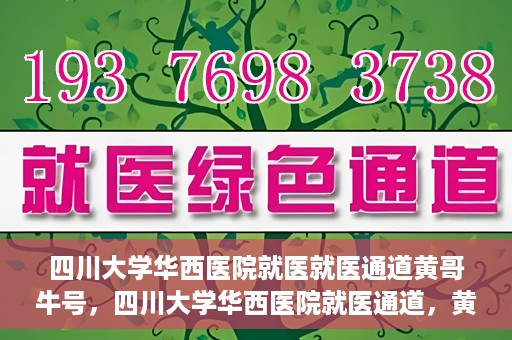 四川大学华西医院就医就医通道黄哥牛号，四川大学华西医院就医通道，黄哥牛号引领就医新纪元
