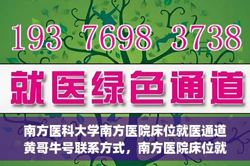 南方医科大学南方医院床位就医通道黄哥牛号联系方式，南方医院床位就医通道详解，黄哥牛号联系方式及就医指南