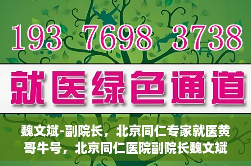魏文斌-副院长，北京同仁专家就医黄哥牛号，北京同仁医院副院长魏文斌，黄哥牛号背后的专家就医解读