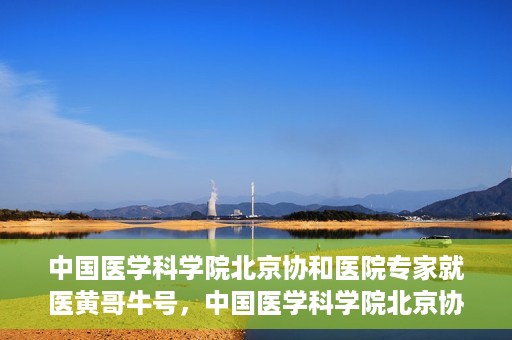 中国医学科学院北京协和医院专家就医黄哥牛号，中国医学科学院北京协和医院专家就医攻略，黄哥牛号解析