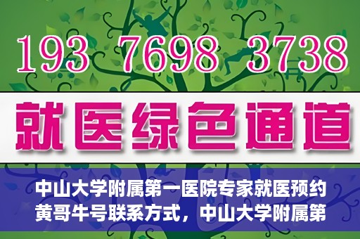 中山大学附属第一医院专家就医预约黄哥牛号联系方式，中山大学附属第一医院专家黄哥牛号预约指南，就医预约联系方式全解析