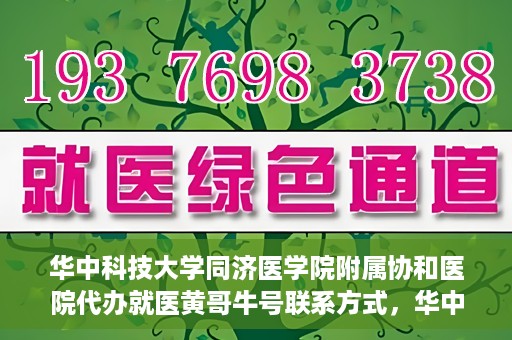 华中科技大学同济医学院附属协和医院代办就医黄哥牛号联系方式，华中科技大学同济医学院附属协和医院就医黄哥牛号联系方式揭秘
