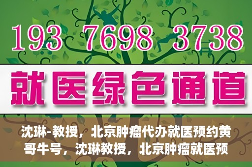 沈琳-教授，北京肿瘤代办就医预约黄哥牛号，沈琳教授，北京肿瘤就医预约背后的故事——黄哥牛号揭秘