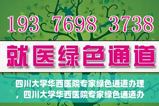 四川大学华西医院专家绿色通道办理，四川大学华西医院专家绿色通道办理详解，一站式高效就医体验