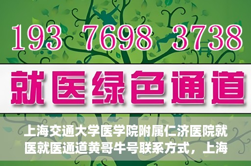 上海交通大学医学院附属仁济医院就医就医通道黄哥牛号联系方式，上海交通大学医学院附属仁济医院就医通道详解，黄哥牛号联系方式揭秘