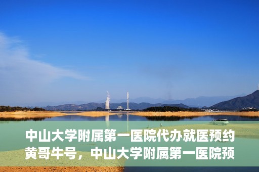 中山大学附属第一医院代办就医预约黄哥牛号，中山大学附属第一医院预约就医助手黄哥牛号揭秘