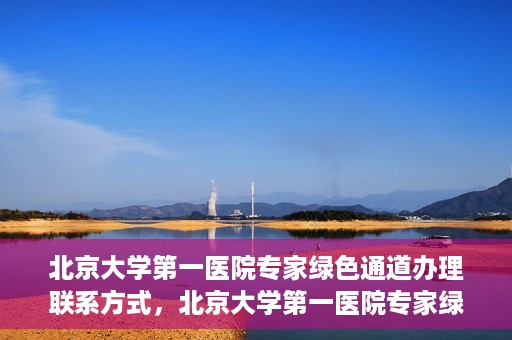 北京大学第一医院专家绿色通道办理联系方式，北京大学第一医院专家绿色通道办理指南，快速联系专家团队的方法