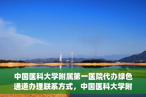 中国医科大学附属第一医院代办绿色通道办理联系方式，中国医科大学附属第一医院绿色通道办理指南及联系方式揭秘