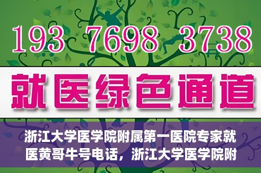浙江大学医学院附属第一医院专家就医黄哥牛号电话，浙江大学医学院附属第一医院专家黄哥牛号电话就医攻略