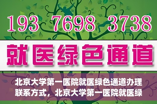 北京大学第一医院就医绿色通道办理联系方式，北京大学第一医院就医绿色通道联系指南，快速办理就医服务通道详解