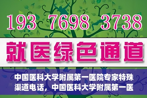 中国医科大学附属第一医院专家特殊渠道电话，中国医科大学附属第一医院专家特殊渠道专线揭秘