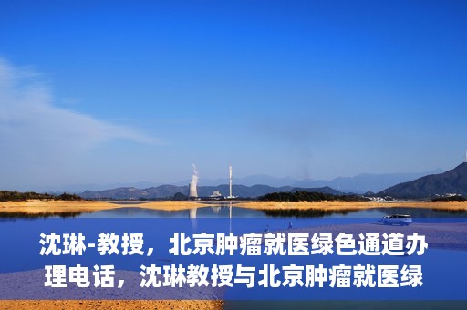 沈琳-教授，北京肿瘤就医绿色通道办理电话，沈琳教授与北京肿瘤就医绿色通道，一键通话解决就医难题