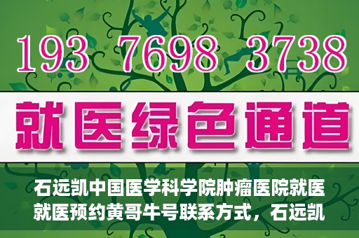 石远凯中国医学科学院肿瘤医院就医就医预约黄哥牛号联系方式，石远凯教授，中国医学科学院肿瘤医院就医预约指南及联系方式揭秘