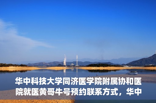 华中科技大学同济医学院附属协和医院就医黄哥牛号预约联系方式，华中科技大学同济医学院附属协和医院就医预约联系方式及黄哥牛号预约揭秘