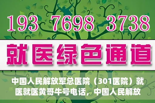 中国人民解放军总医院（301医院）就医就医黄哥牛号电话，中国人民解放军总医院（301医院）黄哥牛号电话就医攻略与指南