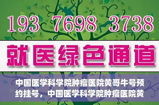 中国医学科学院肿瘤医院黄哥牛号预约挂号，中国医学科学院肿瘤医院黄哥牛号预约挂号攻略，一站式解决您的挂号难题