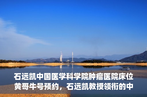 石远凯中国医学科学院肿瘤医院床位黄哥牛号预约，石远凯教授领衔的中国医学科学院肿瘤医院床位预约攻略，黄哥牛号预约详解