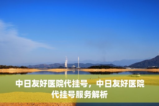 中日友好医院代挂号，中日友好医院代挂号服务解析