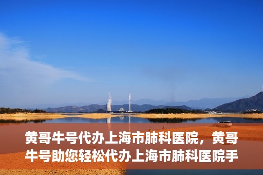 黄哥牛号代办上海市肺科医院，黄哥牛号助您轻松代办上海市肺科医院手续。