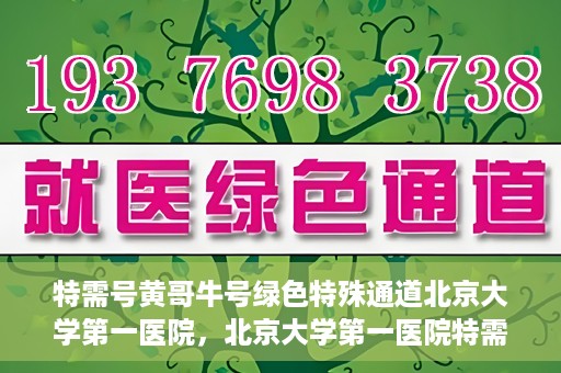 特需号黄哥牛号绿色特殊通道北京大学第一医院，北京大学第一医院特需号黄哥牛号，绿色特殊通道揭秘