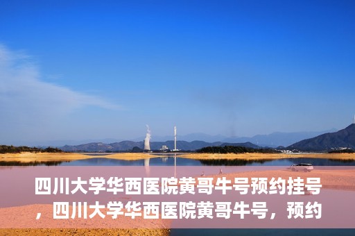 四川大学华西医院黄哥牛号预约挂号，四川大学华西医院黄哥牛号，预约挂号攻略与指南
