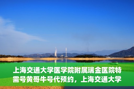 上海交通大学医学院附属瑞金医院特需号黄哥牛号代预约，上海交通大学医学院附属瑞金医院特需号预约服务解析——黄哥牛号预约攻略