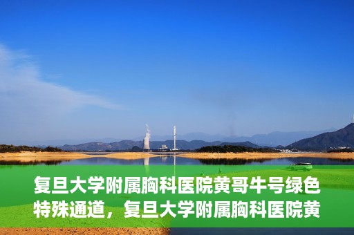 复旦大学附属胸科医院黄哥牛号绿色特殊通道，复旦大学附属胸科医院黄哥牛号，绿色特殊通道开启健康之门