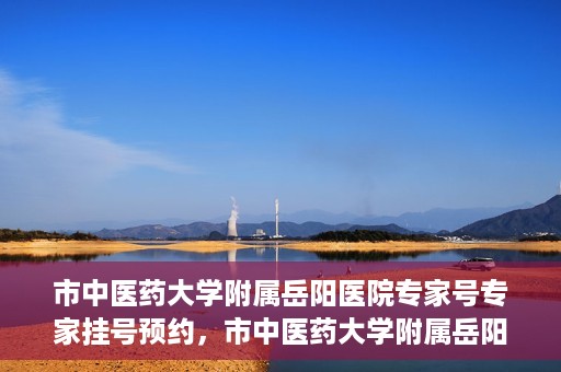 市中医药大学附属岳阳医院专家号专家挂号预约，市中医药大学附属岳阳医院专家挂号预约系统，专业医疗资源的便捷通道