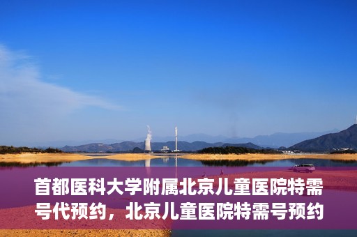 首都医科大学附属北京儿童医院特需号代预约，北京儿童医院特需号预约服务详解