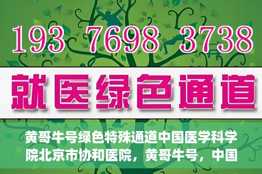 黄哥牛号绿色特殊通道中国医学科学院北京市协和医院，黄哥牛号，中国医学科学院北京市协和医院开启绿色特殊通道助力健康前行