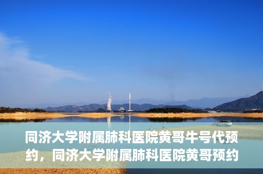 同济大学附属肺科医院黄哥牛号代预约，同济大学附属肺科医院黄哥预约代预约服务启动