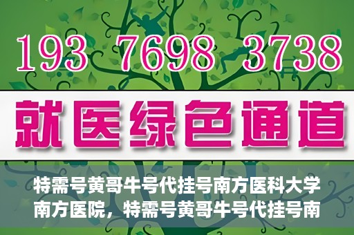 特需号黄哥牛号代挂号南方医科大学南方医院，特需号黄哥牛号代挂号南方医院就医攻略揭秘