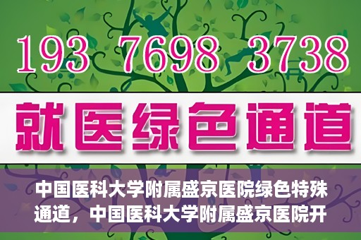 中国医科大学附属盛京医院绿色特殊通道，中国医科大学附属盛京医院开通绿色特殊通道，助力患者快速就医